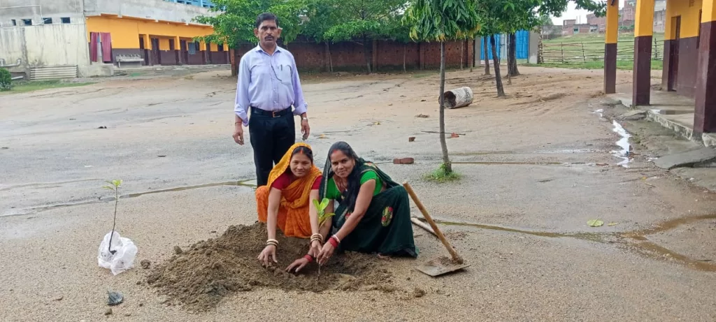 करमा पर्व के अवसर पर इंपीरियल पब्लिक स्कूल परिसर में किया गया पौधरोपण