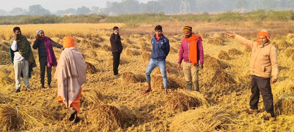 तीसरे दिन भी हाथियों ने मचाया तांडव, दहशत में हैं किसान